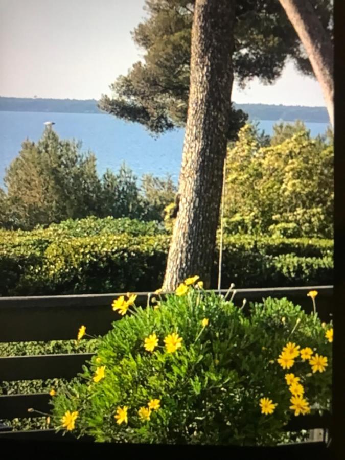Casa Dade Βίλα Κάννες Εξωτερικό φωτογραφία